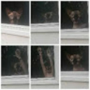 Meet your Posher, Dustin